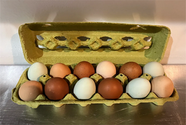 One Dozen Farm Fresh Eggs